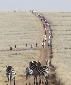 Runners and Zebras Team Ninety One